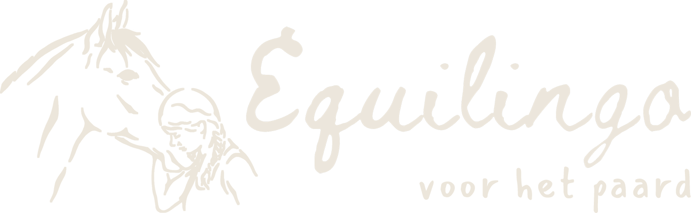 Equilingo logo home