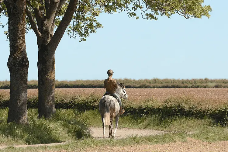 Buitenrit Zuid Limburg 1