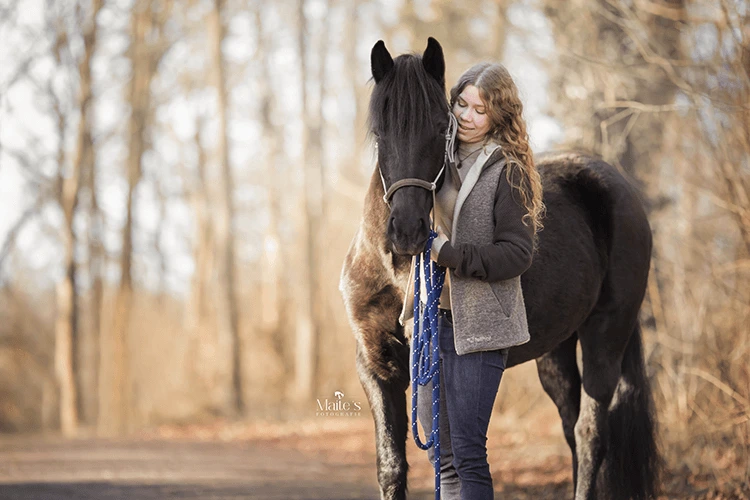 Jonge Paarden Training