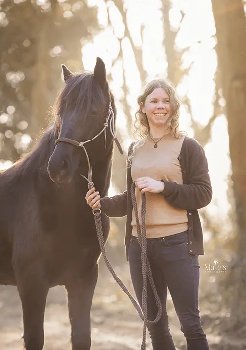 Jonge paarden training 1