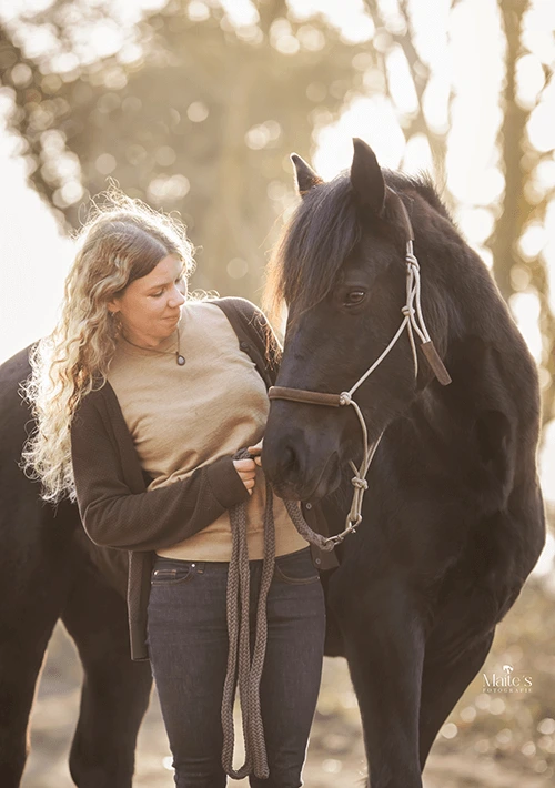 Les paardencommunicatie