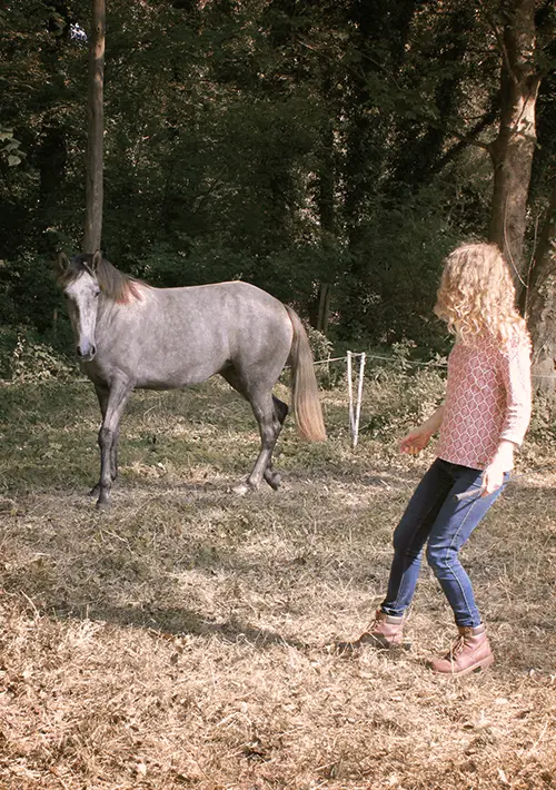 Paard lichaamstaal 1