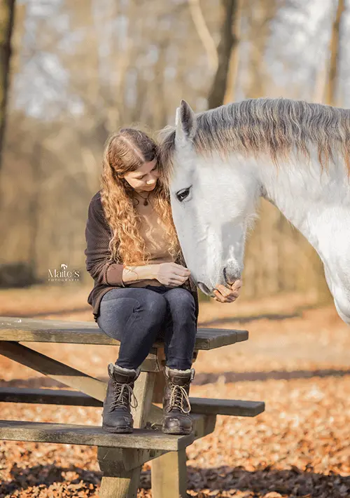 Paardentaal Lessen