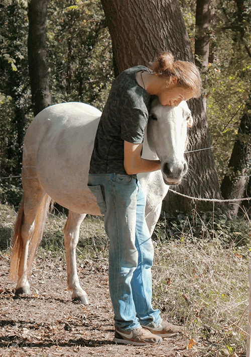 Vertrouwen in je paard