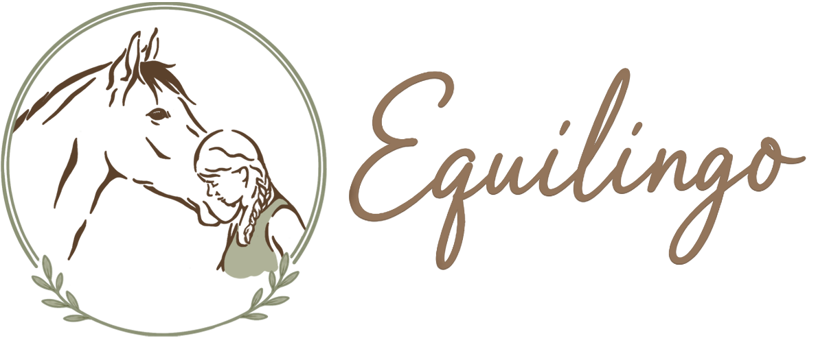 Natural Horsemanship & Academische Rijkunst Limburg | Equilingo